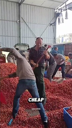 Why Shovel Piles of Crawfish Heads?