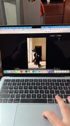 This AI transforms photos into dance videos! Motion Control - Imagify