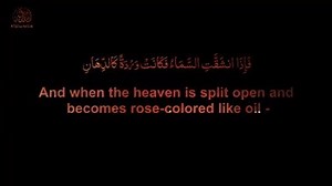 Surah Ar-Rahman ✨ Reciter Sherif Mostafa🥀 | Ｍｏｔｉｖａｔｅ ｙｏｕ