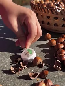 2.5K views | Best walnut opening hacks you need to know 樂 | ʜᴏʟʟʏᴡᴏᴏᴅ ʟᴏᴠᴇʀs | Facebook