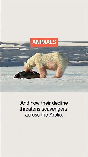 What happened in science this week | Science News