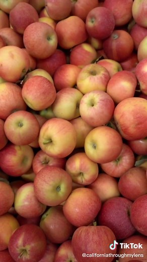 Apple Hill - 85 of 100 things to see in #california - #applehill #applehillfarm #fall #sacramento #roadtrip