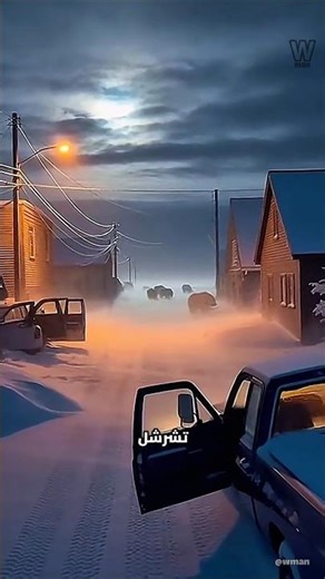 البلدة التي يترك سكانها سياراتهم مفتوحة دائما خوفًا من الدببة! 😰🐻‍❄️