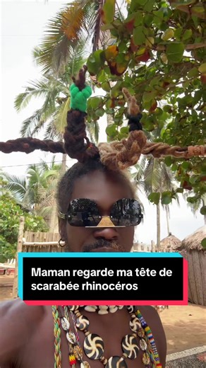 Tête de Scarabée Rhinocéros : Architecture Cheville