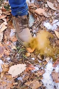 Unbelievable | University Secret Files