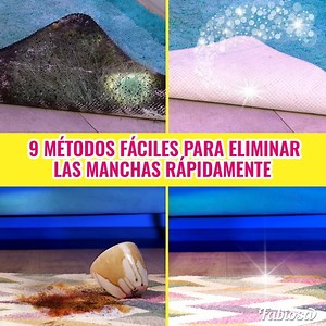 Te mostraremos cómo eliminar las manchas más comunes de la alfombra. | Fabiosa Español