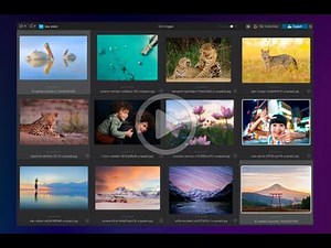 Navigating your PhotoLibrary in DxO PhotoLab 9