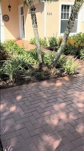Finished driveway painting with color top solvent based concrete sealer with tintable base