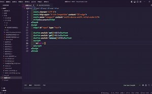 JS本地数据储存+提取+清除