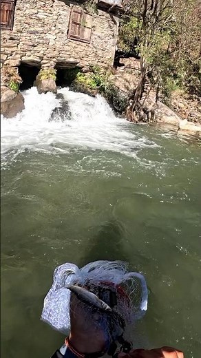 Water rushing out of the watermill — fish rushing in for food! #castnetfishing #netfishing #trout