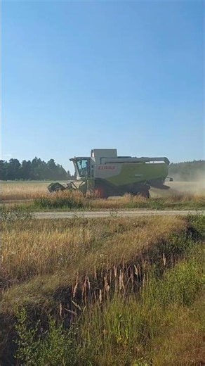 #claas #claaslexion #getreide #dreschen #harvesting #harvest #ihc #österreich
