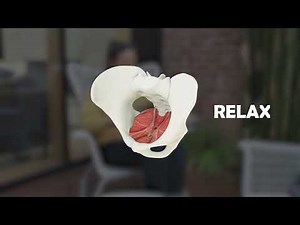 Female pelvic floor muscle exercises - 3D animation