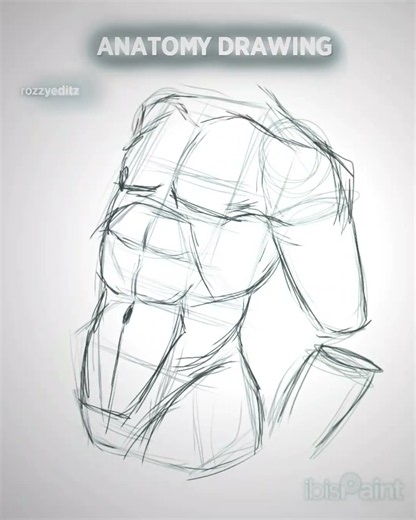Man Anatomy drawing #art #ibispaintx