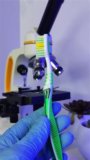Exploring Toothbrushes Under the Microscope: A Scientific Study