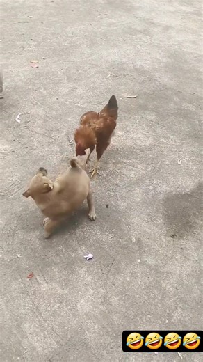 Come back here. Where do you think you are going?