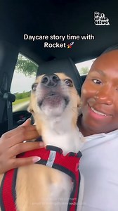 You just know he had a good day! 🤣 #Dog #DoggyDaycare | The Pet Collective