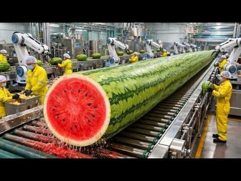 Inside a Modern Watermelon Juice Factory | From Farm to Bottling Process