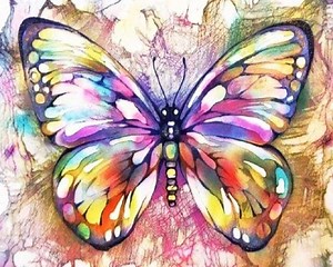 Colorful Butterfly