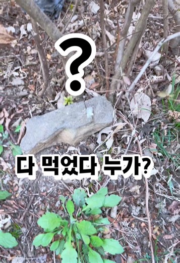 누가 먹었을까요?? 정말 답답합니다! #유기동물#유기토끼#유기견#유기견#반려동물#산토끼