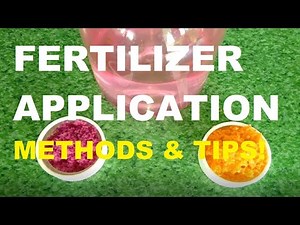 FERTILIZER APPLICATION | GARDENING PHILIPPINES