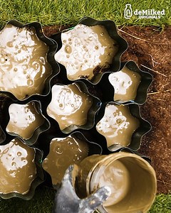 Easy Concrete Pathway | DeMilked