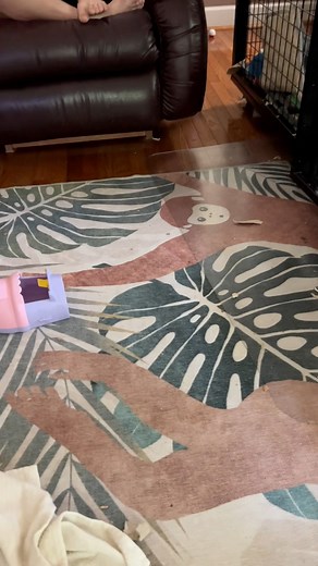 2K views · 171 reactions | Oliver, the King of Freefalls✌️ #freefall #playing #happymonkeys #youcanletitallgo | Three Little Rascals | Facebook