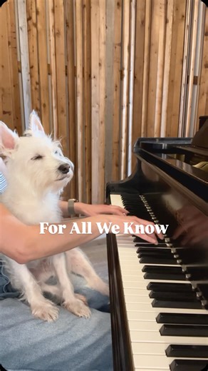 Kara Mehrmann on Instagram: "“For All We Know…” Revisiting this beautiful arrangement by my friend @bennettwoodmusic. Recorded in 2023. 🤍 . . . #throwback #jazz #jazzpiano #dogsofinstagram #forallweknow"