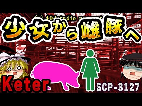 【ゆっくりSCP解説】乙女心が持つ異常性？少女から雌豚へと変化したSCPを解説【SCP-3127:19歳のジェシカ・ランバートと異常な大きさの雌豚よ、永遠に】
