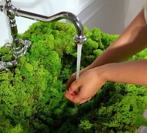 1.4M views · 6.1K reactions | Ideias de faça você mesmo para transformar seu banheiro em um pedaço do céu na terra! | Ideias Incríveis | Facebook