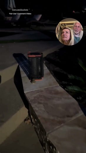 Free Loader Frog and The Bug Zapper