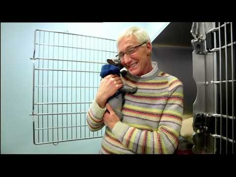 This Christmas | ITV3 | ITV