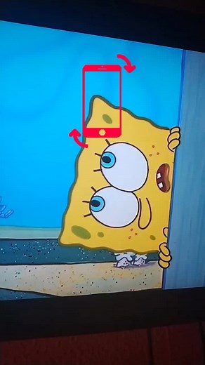 Funny Animated Adventures with a Sponge and Crab