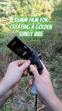 Three 35mm Film Stocks for a Warm, Sunlit Look