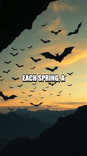 Carlsbad Caverns Unveiled A Desert Marble Cathedral