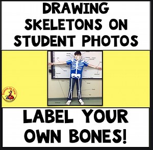 Skeletal System Photo Project: Drawing Bones on Ourselves!
