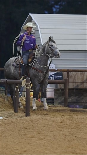323K views · 7.1K reactions | Feeling confident in my CINCH JEANS and shirts. Next stop, the Ponoka Stampede this morning for slack and the performance at 1:00pm MT. : Maggie Burke - Media #western #westernwear #jeans #denim #teamcinch #cinch #cinchteam #cinchjeans #prca #prorodeo #weareprorodeo #tiedown #tiedownroping #tiedownroper #rodeo #cowboy #cowboystyled | Shane Hanchey | Facebook