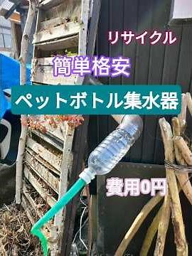 diy自作『ペットボトル集水器』雨樋の水を受けてミニビオトープへ自動給水 夏場の給水が楽になる！雨水再利用