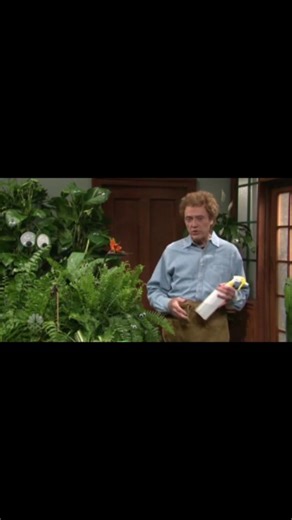 huggy on Instagram: "s33e9 4/5/08 Host Christopher Walken #saturdaynightlive #snl #snlclassic"