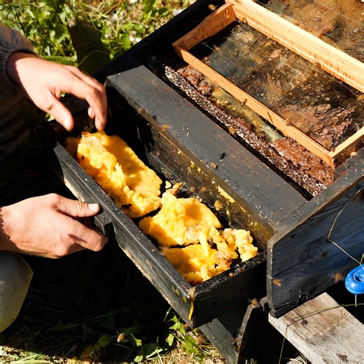 150K views · 183 reactions | Satisfying Beeswax Craft | Everyday Life | Facebook