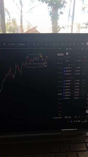 Forex Forecast: The Plan for Next Week [23 FEB 2026]