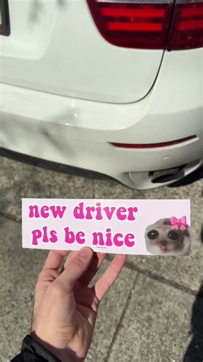 Sad Hamster New Driver Sticker Collection