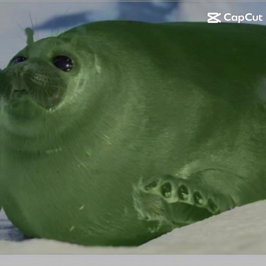 alien seals seals uhh 9 #seal