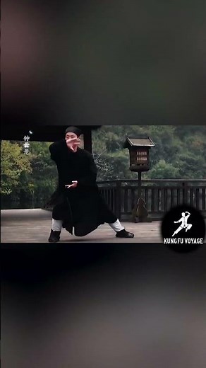 14th-Gen Wudang Master Performs Tai Chi in Sacred Canyon #taichi #martialarts #chinesemartialarts