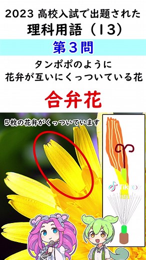 高校入試に出た理科の用語