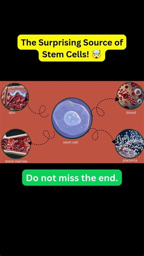 “Where Do Stem Cells Come From? The Amazing Truth!#StemCells#Biology