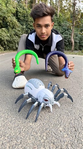 Rc 2 Pc snakes and Remote Control Makhodh Unbox 🥹