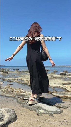 1600万年前の海底には化石が…📍島根県・石見畳ヶ浦