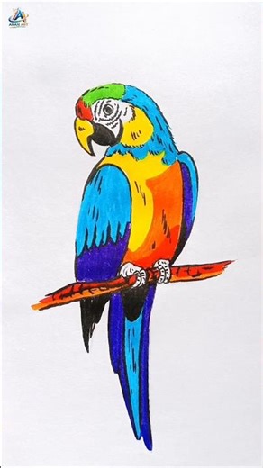 Easy parrot drawing with pencil colour..#parrot #drawing #art