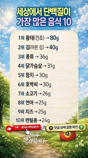 단백질 가장 풍부한 음식 TOP 10 (건강 핵심 정보)