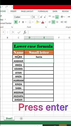 How to Use the LOWER case in Excel (Convert Text to Lowercase)#exceltips